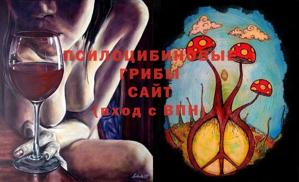 прущие грибы Куйбышев