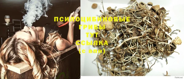 стаф Ладушкин