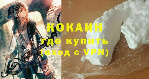 прущие грибы Куйбышев