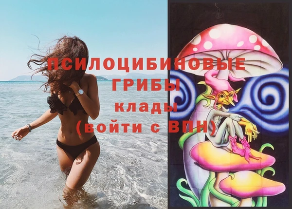 прущие грибы Куйбышев