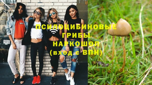 прущие грибы Куйбышев